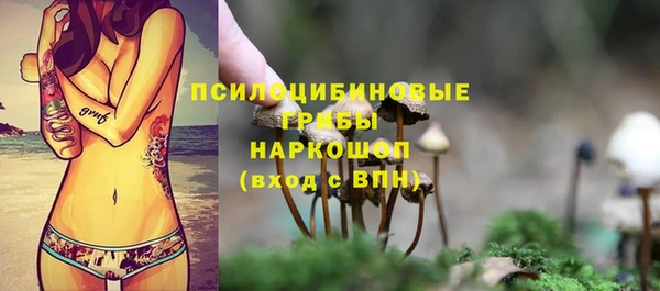 дживик Киреевск