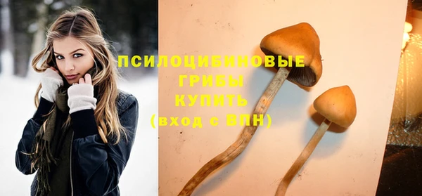 гидра Киренск
