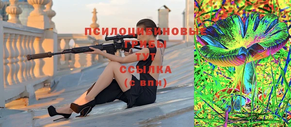 гидра Киренск