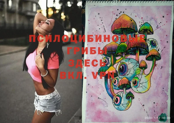 дурь Кинешма