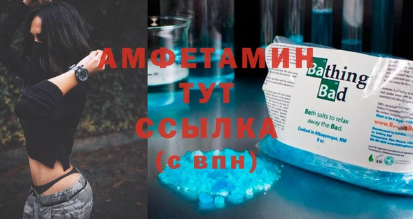 гидра Киренск