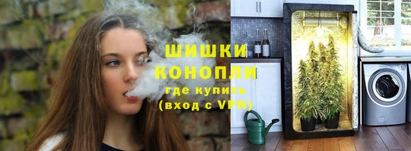 гидра Киренск